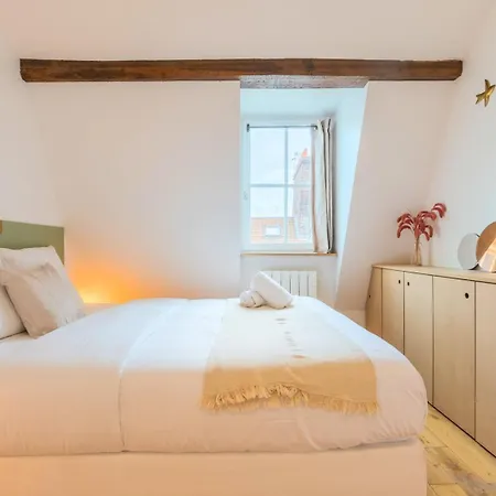 Charming Bright Flat In Vieux Lille. شقة