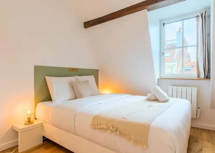 Lejlighed Charming Bright Flat In Vieux Lille. *